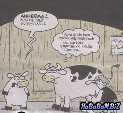 Kariyer
Anne bende sÃ¼t istiyorum :)
Keywords: sÃ¼t , kariyer , inek ,