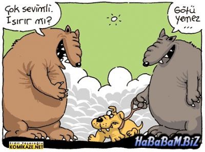 yemez.jpg