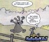 ayniheyecan.jpg