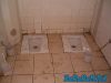 Filename=helah.jpg
Filesize=51KiB
Dimensions=500x375
Date added=Feb 01, 2006 helah.jpg