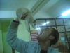 Filename=kopekham.jpg
Filesize=26KiB
Dimensions=600x450
Date added=Jan 22, 2006 kopekham.jpg