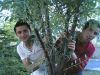 Filename=yesilcam.jpg
Filesize=277KiB
Dimensions=1280x960
Date added=Mar 25, 2006 yesilcam.jpg